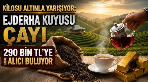 Kilosu Altınla Yarışıyor: Ejderha Kuyusu Çayı 290 Bin TL’ye Kadar Alıcı Buluyor