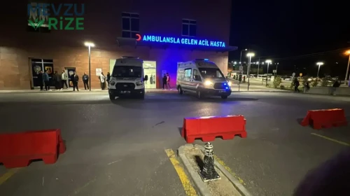 Niğde'de Gölette Düşen 16 Yaşındaki Genç Hayatını Kaybetti