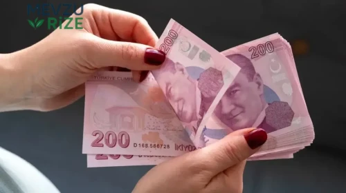 Annelere 6 Yıl Daha Erken Emeklilik İmkanı: Yeni Düzenleme ile Kapsam Genişletildi