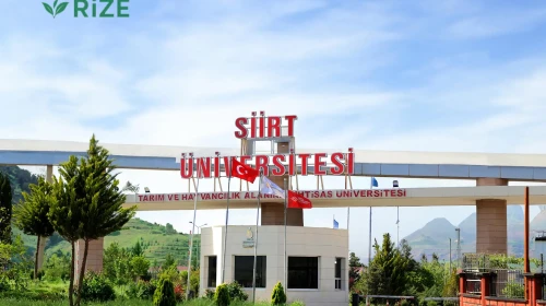 Siirt Üniversitesi (SİÜ) 2026 Tercih Rehberi: Taban Puanları (Son 4 Yıl) Başarı Sıralamaları