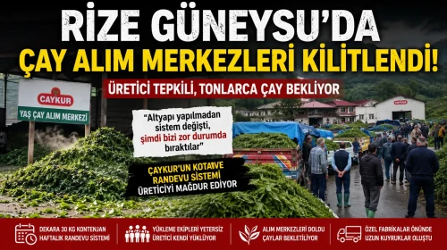 Güneysu’da Yaş Çay Krizi: Alım Merkezlerinde Yığılma, Üreticiler Tepkili