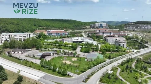 Düzce Üniversitesi (DÜ) 2026 Tercih Rehberi: Taban Puanları (Son 4 Yıl) Başarı Sıralamaları
