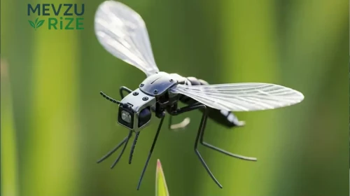 Gördüğünüz sinekler dron olabilir: İşte sivrisinek boyutundaki casus dronlar!