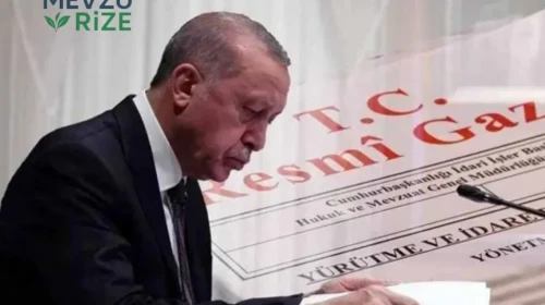 3 Haziran 2026 Resmi Gazete Atama Kararları Yayımlandı