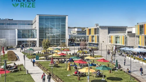 Özyeğin Üniversitesi 2026 Tercih Rehberi: Tercih Rehberi: Taban Puanları (Son 4 Yıl) Başarı Sıralamaları