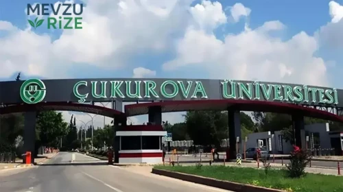 Çukurova Üniversitesi (ÇÜ) 2026 Tercih Rehberi: Taban Puanları (Son 4 Yıl) Başarı Sıralamaları