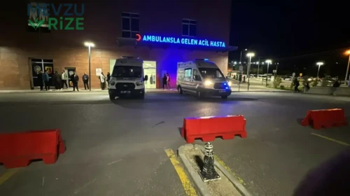 Niğde'de Gölet Kazası: 16 Yaşındaki Gökçe Hayatını Kaybetti