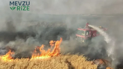Tekirdağ'da Buğday Tarlasında Çıkan Yangın 100 Dekar Alanı Yok Etti!