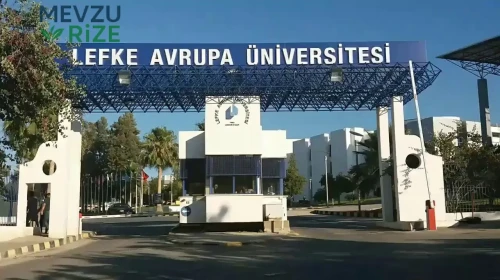 Lefke Avrupa Üniversitesi 2026 Tercih Rehberi: Taban Puanları (Son 4 Yıl) Başarı Sıralamaları