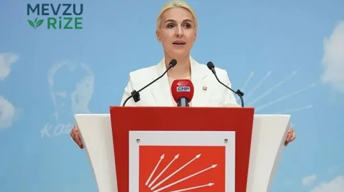 Zahide Kurun kimdir, asıl mesleği nedir? CHP'deki görevi merak konusu oldu