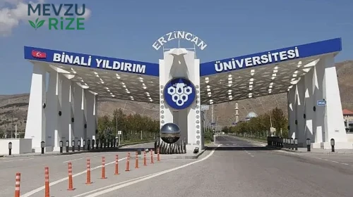 Erzincan Binali Yıldırım Üniversitesi (EBYÜ) 2026 Tercih Rehberi: Taban Puanları (Son 4 Yıl) Başarı Sıralamaları