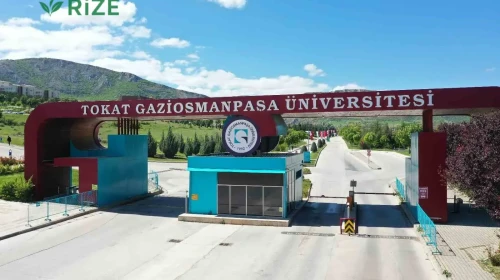 Tokat Gaziosmanpaşa Üniversitesi (TOGÜ) 2026 Tercih Rehberi: Taban Puanları (Son 4 Yıl) Başarı Sıralamaları