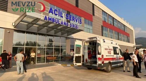 Osmaniye'de Pasta Tüketiminden Kaynaklı Zehirlenme Olayı: 53 Kişi Hastaneye Kaldırıldı