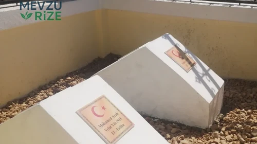 Osmanlı İmparatorluğu'nun Mirasını Taşıyan Çad'daki Türkaylar Topluluğu: Bir Tarih Yolculuğu