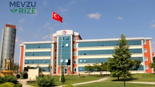 Çanakkale Onsekiz Mart Üniversitesi (ÇOMÜ) 2026 Tercih Rehberi: Taban Puanları (Son 4 Yıl) Başarı Sıralamaları