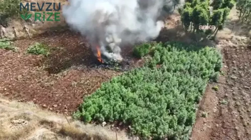 İçişleri Bakanlığı'ndan önemli açıklama: Diyarbakır'da gerçekleştirilen uyuşturucu operasyonunda 1 milyon 755 bin kök kenevir ile skunk madde ele geçirildi.