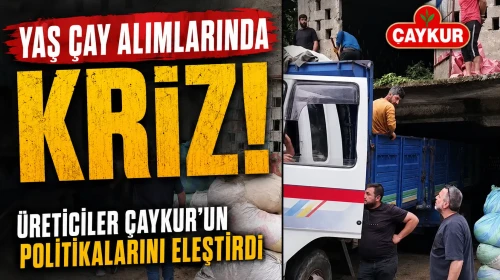 Yaş Çay Alımlarında Kriz: Üreticiler ÇAYKUR’un Politikalarını Eleştirdi
