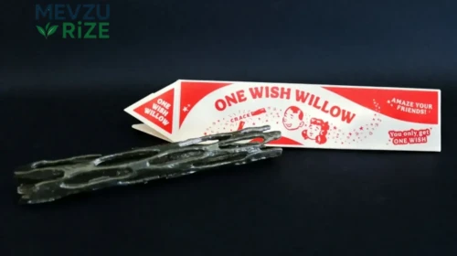 Korku Filmi 'Obsession' ile One Wish Willow, İnternette Patlama Yaptı!