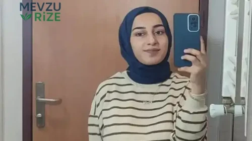 Van Barosu, Rojin Kabaiş Davasından Çekildiğini Duyurdu