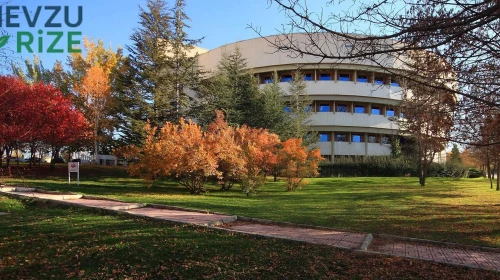 İhsan Doğramacı Bilkent Üniversitesi 2026 Tercih Rehberi: Taban Puanları (Son 4 Yıl) Başarı Sıralamaları
