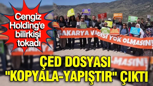 Cengiz Holding'e ÇED Raporunda Ciddi Eleştiri: 'Kopyala-Yapıştır' İddiası Gündemde