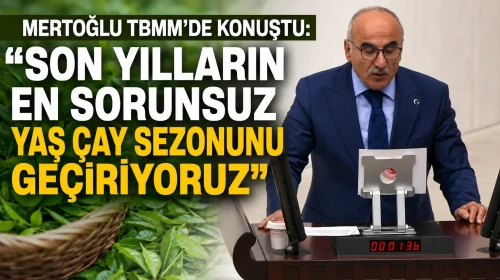 Mertoğlu TBMM'de Konuştu: Son Yılların En Sorunsuz Yaş Çay Sezonunu Geçiriyoruz