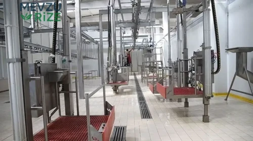 Kesimhanelerde Görüntü İzleme Sistemi 2027'de Uygulamaya Geçiyor