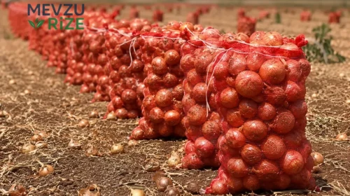 Ticaret Bakanlığı'ndan Kuru Soğanda Yeni Vergi Düzenlemesi Açıklandı!