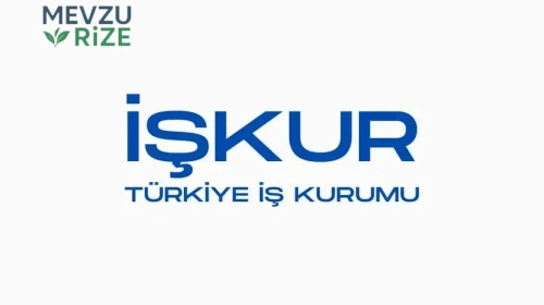 İŞKUR, 17 Farklı Kurum İçin Memur Alım Başvurularını Açtı!