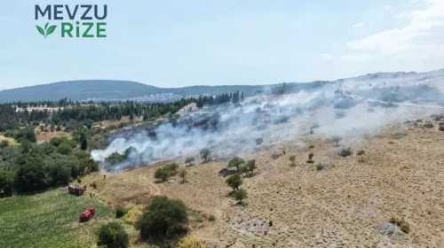 Muğla'da Alevlerle Mücadele: Orman Yangını Kontrol Altına Alınmaya Çalışılıyor