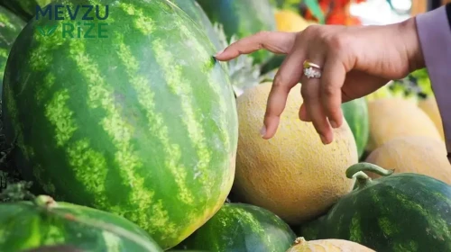 Karpuz ve Kavun Seçerken Dikkat Edilecek İpuçları: Lezzet Garantili Seçimler İçin!