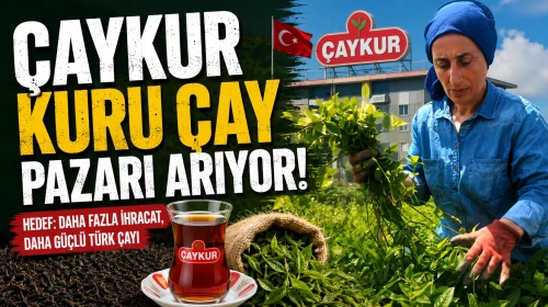 Çaykur, yeni pazar arayışında; üreticilere yaş çay alımında uyarılarda bulunuyor!