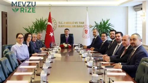 Bakan Bayraktar'dan Enerji Yatırımları Açıklaması: 'Ayağımızın Tozuyla Türkiye'ye Geldik