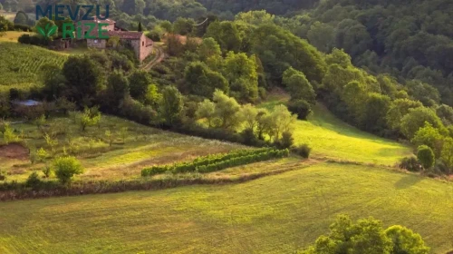 Umbria: İtalya'nın Yeşil Kalbi'nde Tarihin, Doğanın ve Lezzetin Büyülü Buluşması!