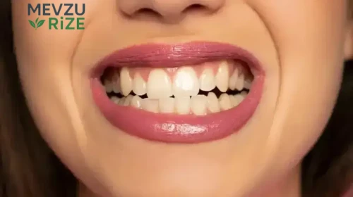Diş Aşınması ve Boyun Tutulması Çekiyor Olanlar İçin Önemli Uyarılar!