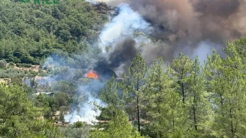 Üç İlde Orman Yangını Alarmı: Afyonkarahisar, Muğla ve Antalya'ya İş Makinaları Gönderildi!