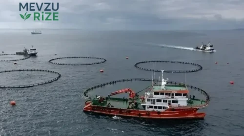Karadeniz Bölgesi’nin Su Ürünleri İhracatı 2023 Yılının İlk Yarısında 186 Milyon Dolara Ulaştı!