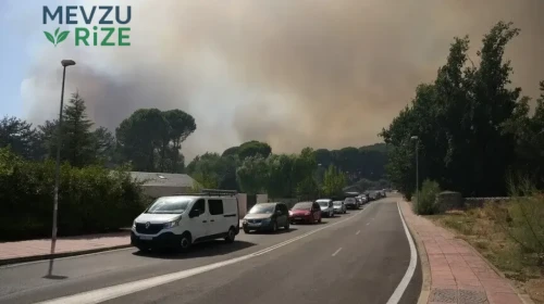 İspanya'daki Orman Yangınları Nedeniyle Başlatılan Ulusal Acil Durum Süreci Tamamlandı