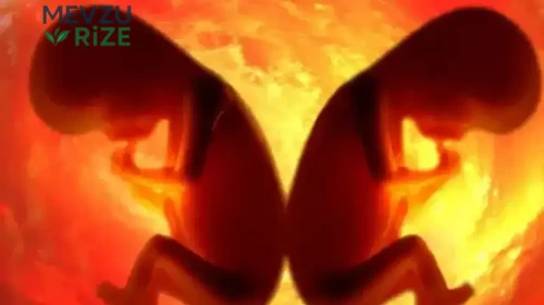 Bilim Camiasında Etik Tartışmalar: Genetiği Değiştirilmiş Bebekler Yeniden Gündemde mi?