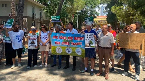 İzmir’de göğüs hastanesinin ağaçlarını kesme kararına tepki: “Nefesimizi kestirmeyeceğiz”
