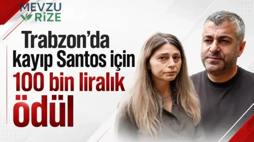 Trabzon'da Kayıp Santos İçin 100 Bin Lira Değerinde Ödül İlan Edildi!