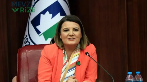 İzmit Belediye Başkanı Hürriyet görevinden uzaklaştırıldı