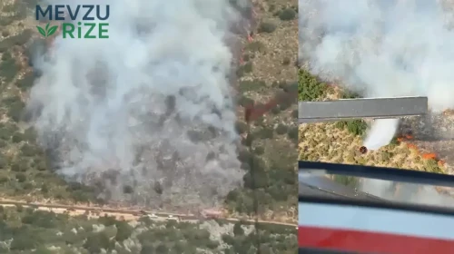 Antalya'nın Doğal Güzelliklerine Korkutan Yangın: Orman Alanları Tehlikeye Girdi