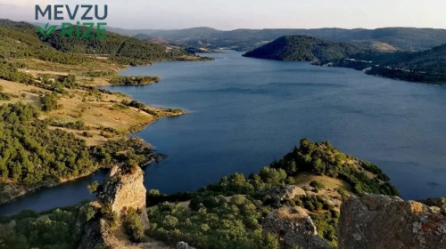 Koza Altın'a İkinci Kez Yürütmeyi Durdurma Kararı Çıktı