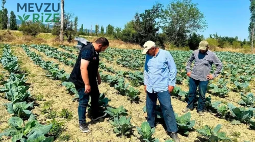 Sebze Üretiminde Denetim Süreçleri Devam Ediyor