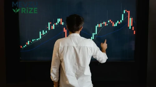 Borsa Düşüşü Bekleyenlere Analistlerden Sert Uyarı: Panik Yapmak En Büyük Yanlış Olabilir!