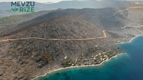 Ormanda Yangın Felaketi: Yeşil Doğa Küllere Karıştı, Mavi Huzur Uzaklaştı