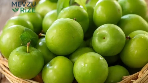Günde 10-12 Yeşil Erik Tüketenlerin Mutluluğu Artıyor!