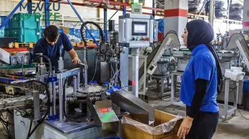 Tek Makine ile Başlayan Yolculuk: 243 Kişilik Dev Üretim Tesisine Dönüşüm!