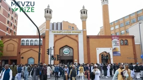 14 Yaşındaki Çocuğun Şok Edici Planı: İki Camiyi Hedef Almış!